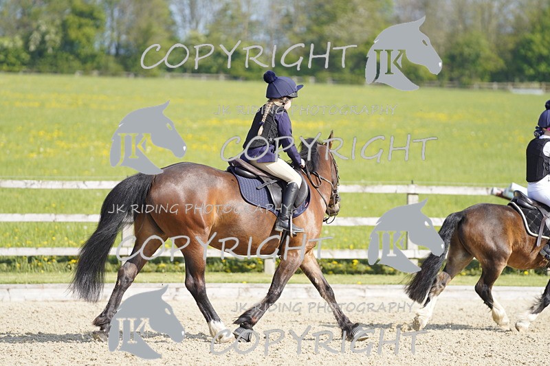 _DSC6655 - USJL Oakingham Stud 27.04.25
