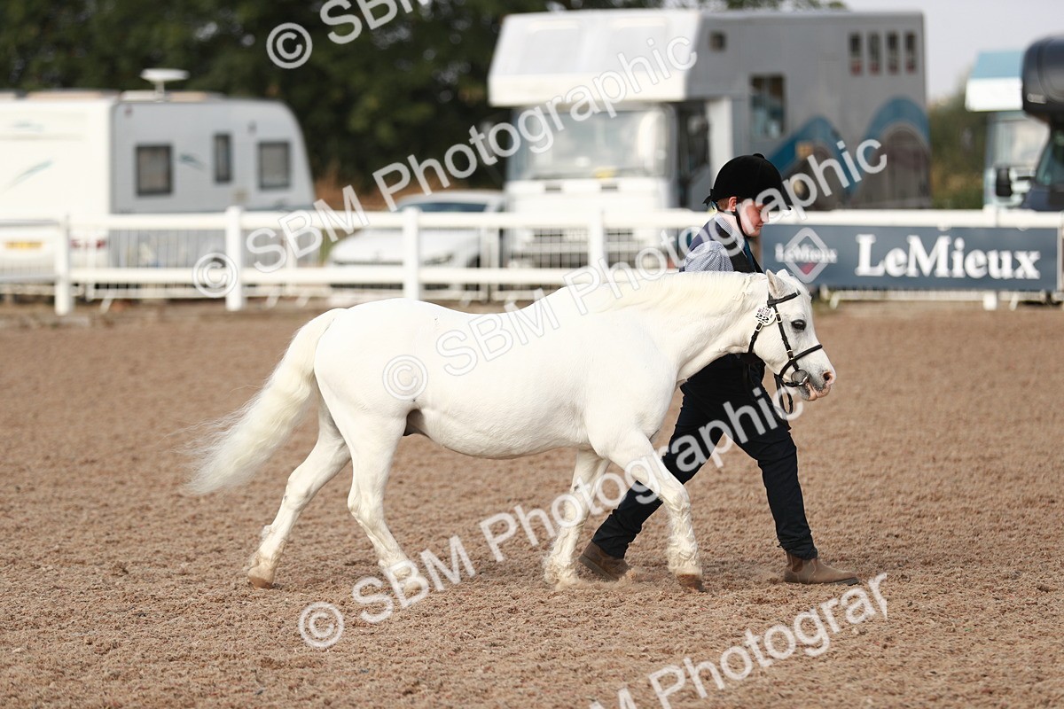 SBM_10493 - Class 204 Young Handler, 11-16 years