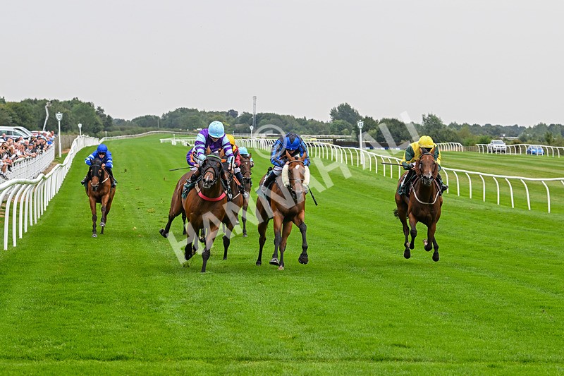 280824-Race 3-Too Much Too Young-4246