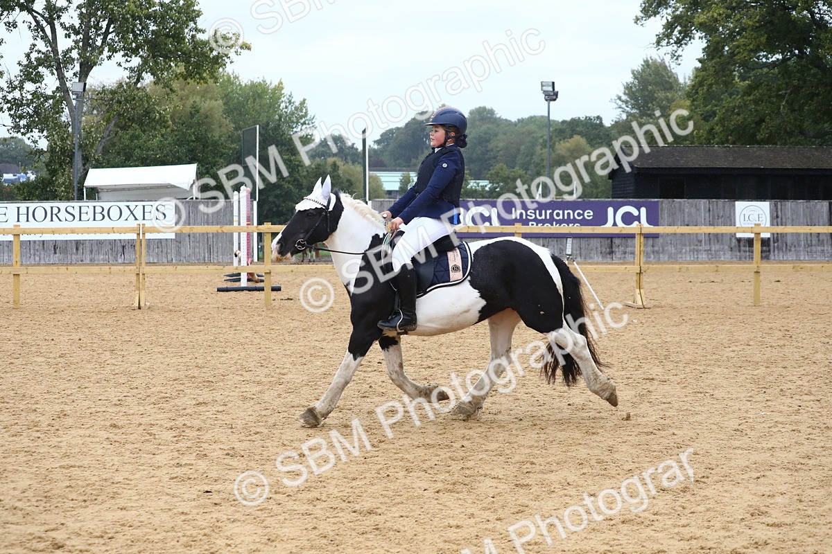 SBM_72014 - J3b - Mini Tour Junior Pony 40cm Championship