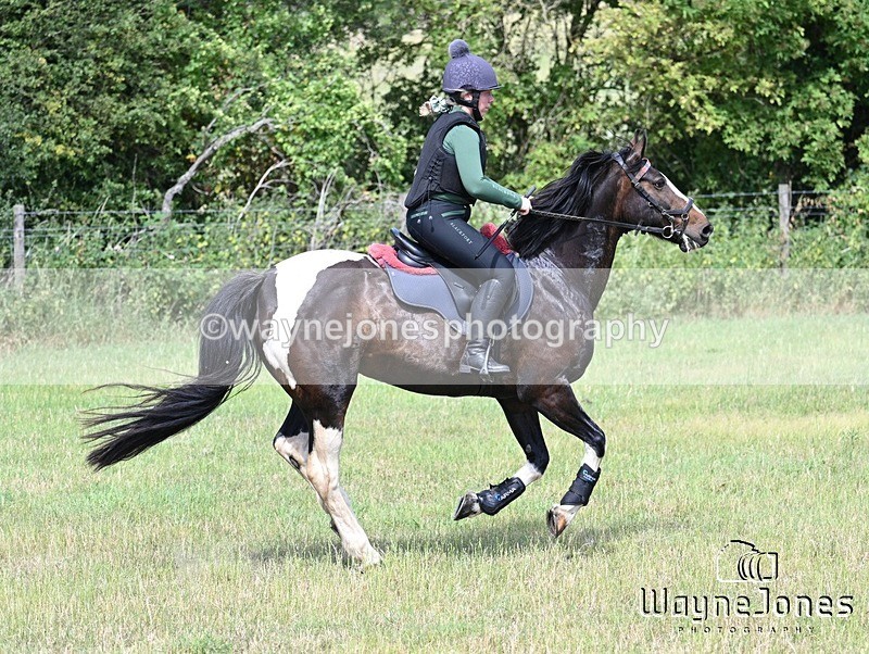 WJ7_9325 - Kellie Jade Ellie XC training with Kelly Harris 28-06-26