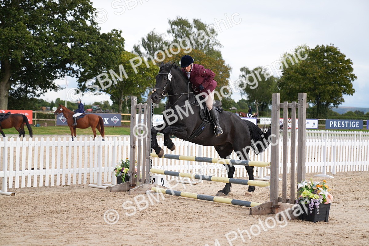 SBM_10372 - J37 Veteran 75cm Championship