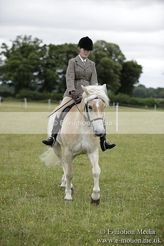 BVR160717-1524 - Ring 1 BVRC Show 16/07/17