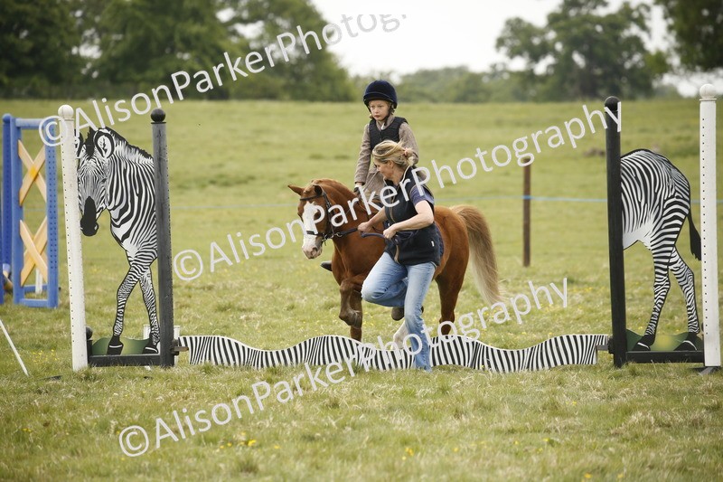 20250517-0318 - Class 1 - 30cm On Lead Rein