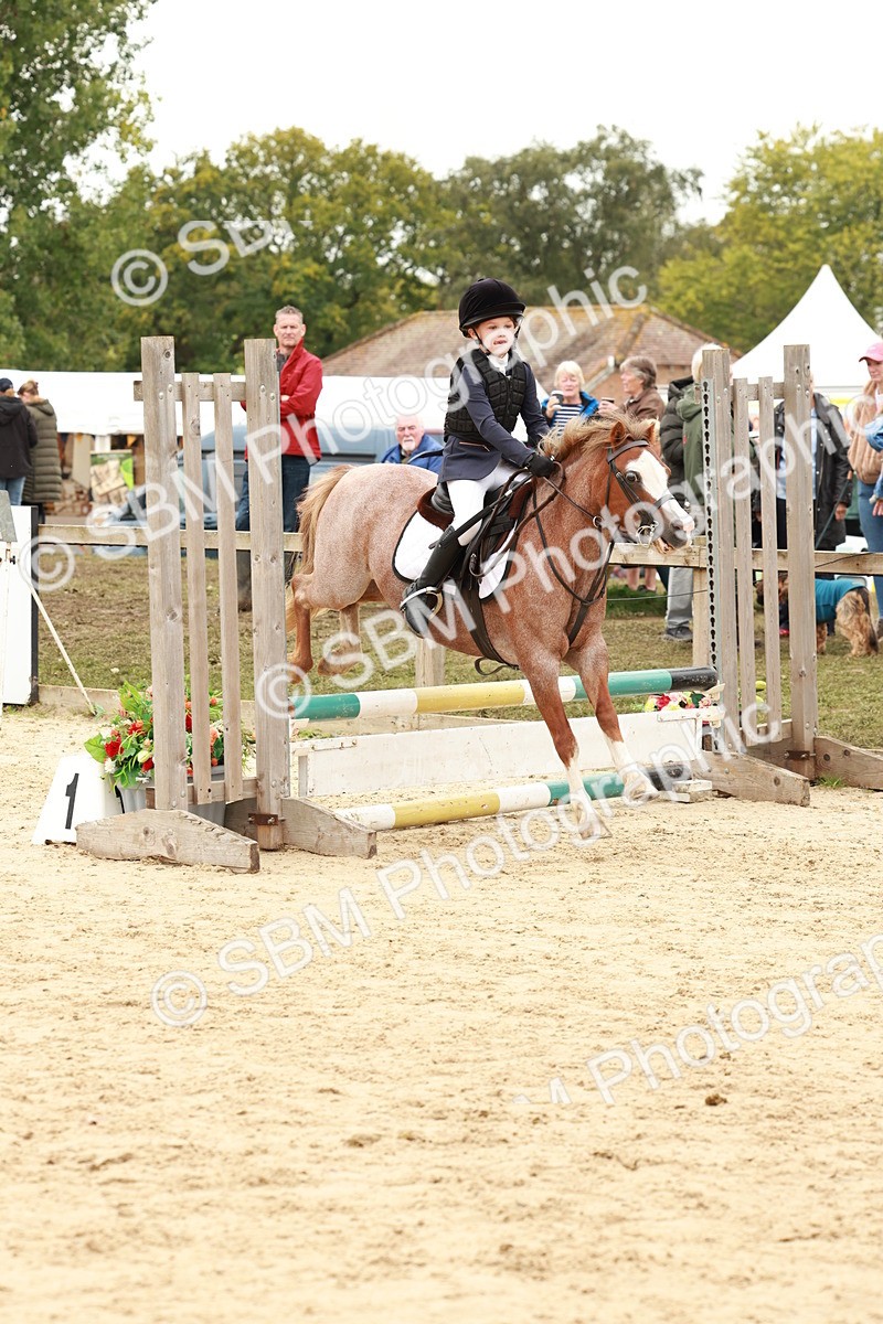 SBM_61932 - J12 - Junior Pony 55cm Championship