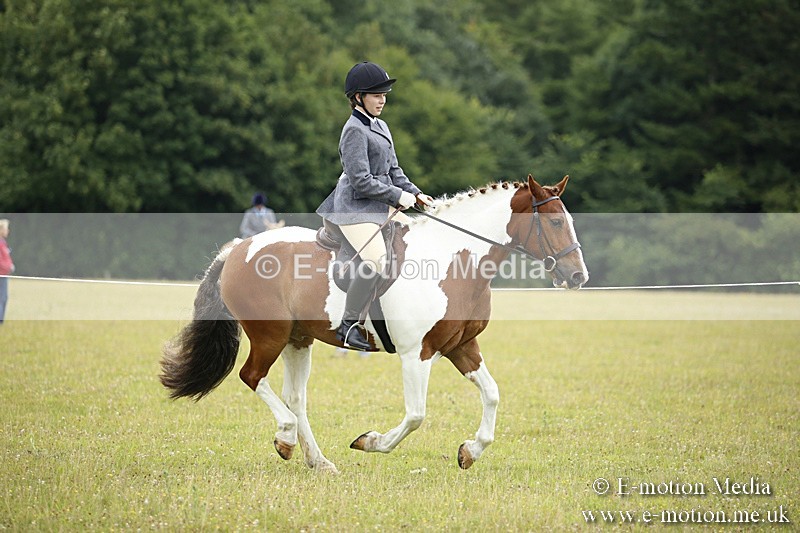 BVR160717-68 - Ring 1 BVRC Show 16/07/17