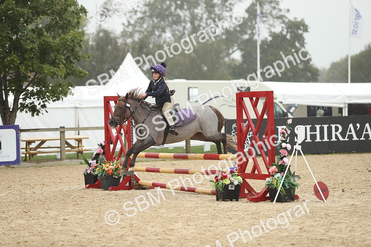 SBM_74032 - J16 - Junior Pony 75cm Championship