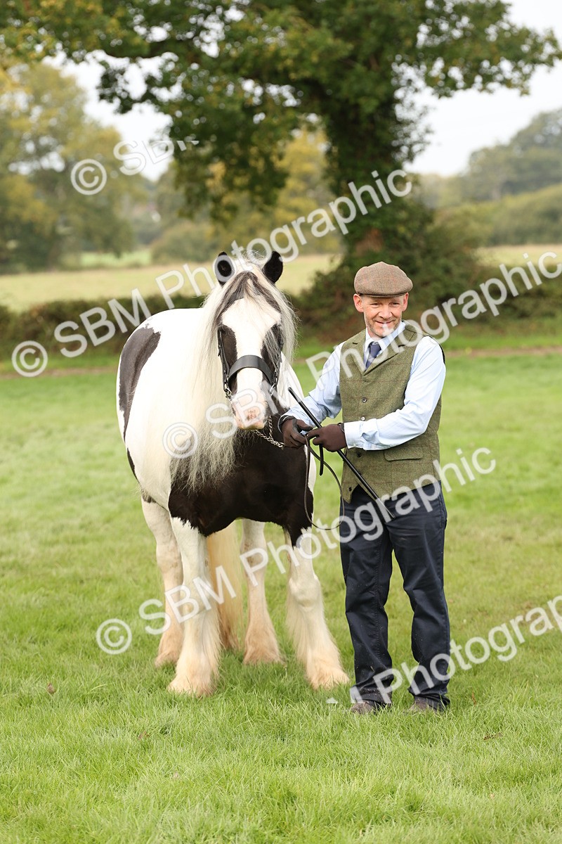 SBM_57506 - S56 - Show Cob in Hand