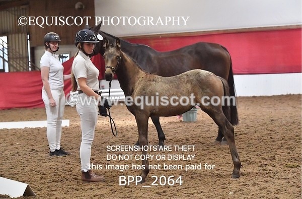 BPP_2064 - AFTERNOON 12.30 - 3.30PM