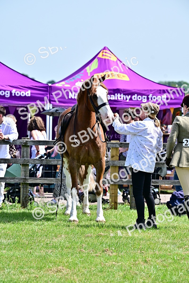 SBM_03917 - Class 58 - TSR  Ridden Veteran Amateur of the year