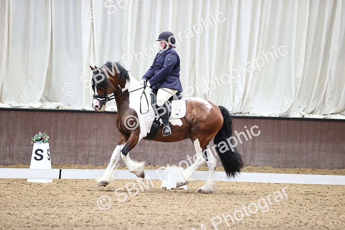 SBM_000480 - Novice 4 Warm Up