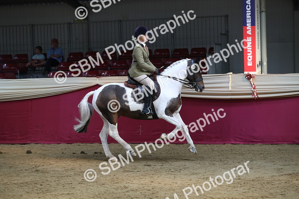 SBM_08300 - Class 11R Regional Ridden Veteran