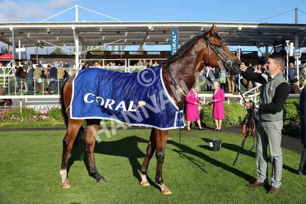 yr08102022r5-56 - Race 5 3.50pm The Coral Committed To Safer Gambling EBFStallions.com Maiden Stakes