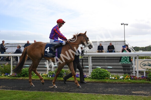 yr13052022r7-23 - Race 7 5.15pm Longines Irish Champions Weekend Stakes