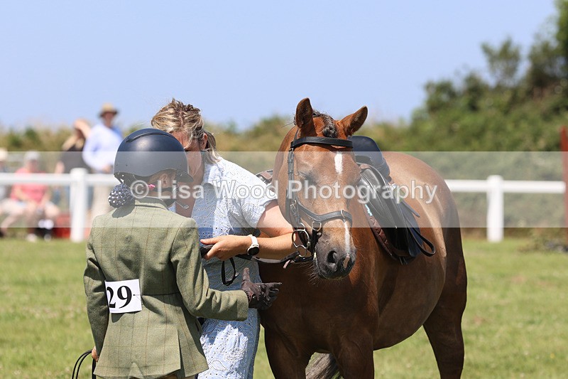 JPP_2797 - Class 21: Working Hunter 60cm
