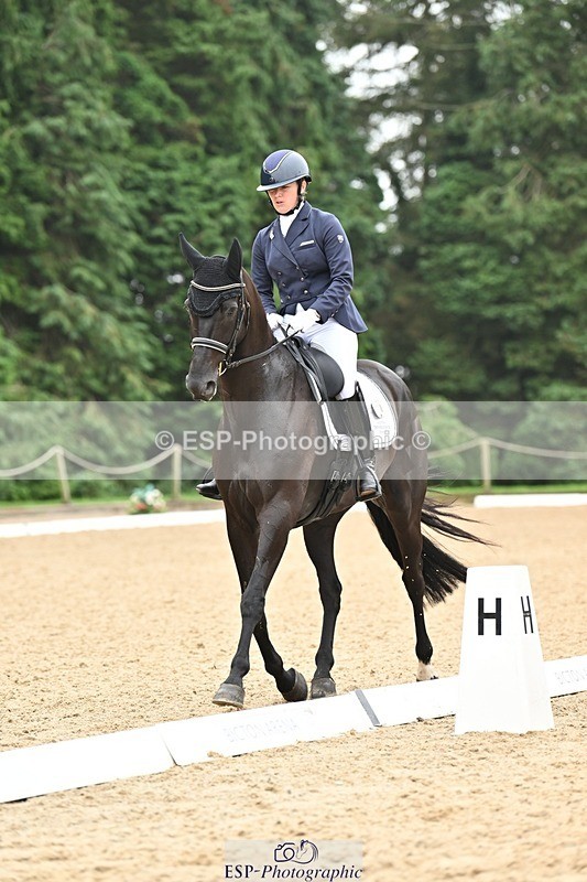 240811-115927-05318 - 118-Katie.Kneen-Springtime.Evergreen