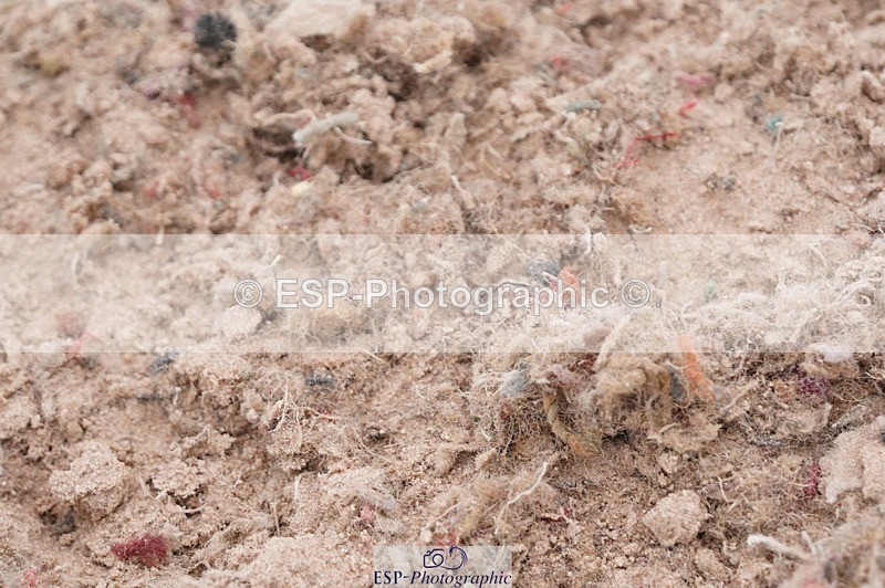 250523-174610-03082 - Jolly Jumps Ride & Run