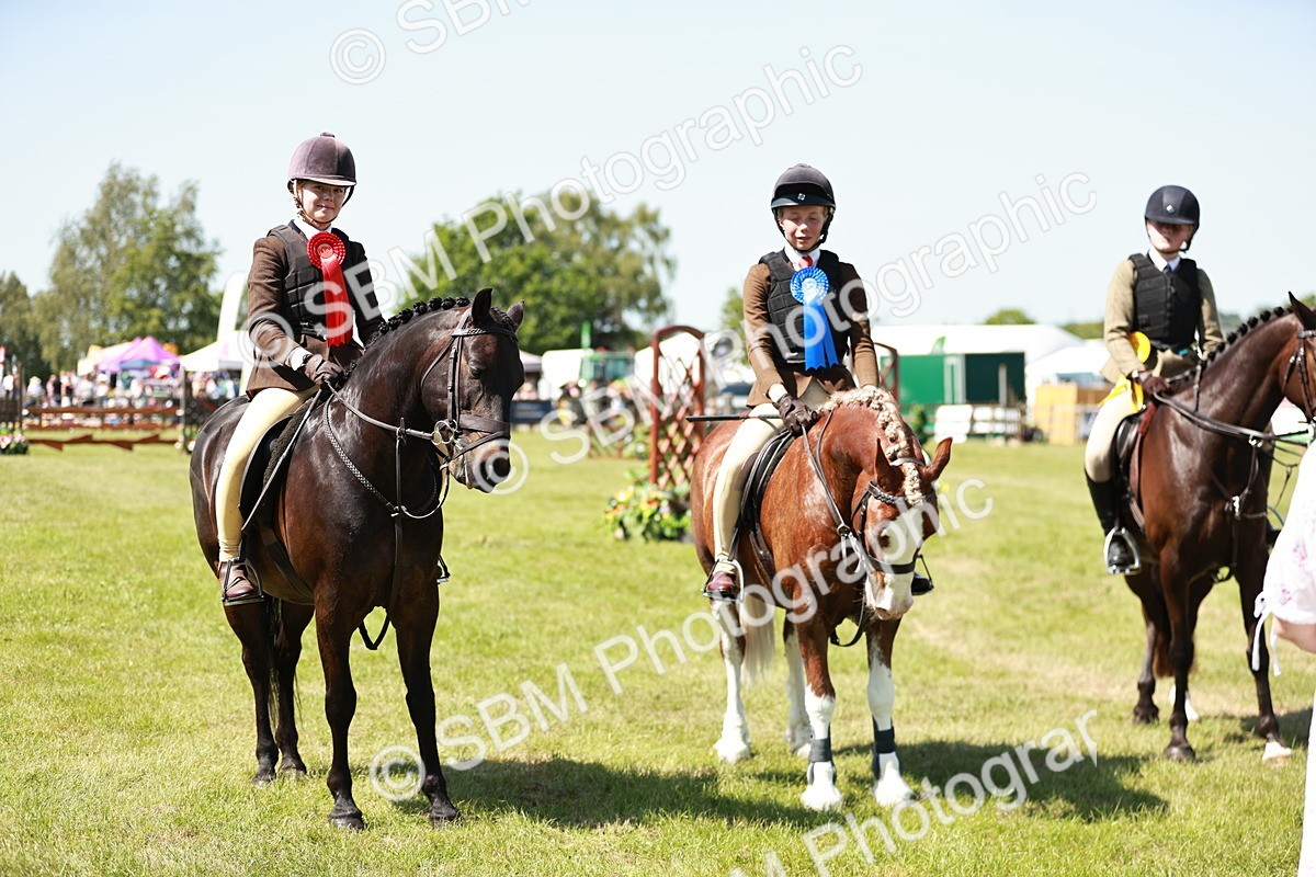 SBM_17671 - Class 112-113 - BSPS LIHS Working Sports Pony
