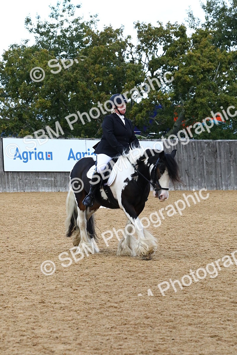 SBM_21041 - D5 - Small Tour Championshop Intro 2