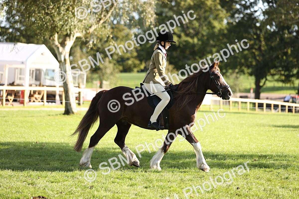 SBM_29327 - S7 - Novice & Newcomers Ridden Pony