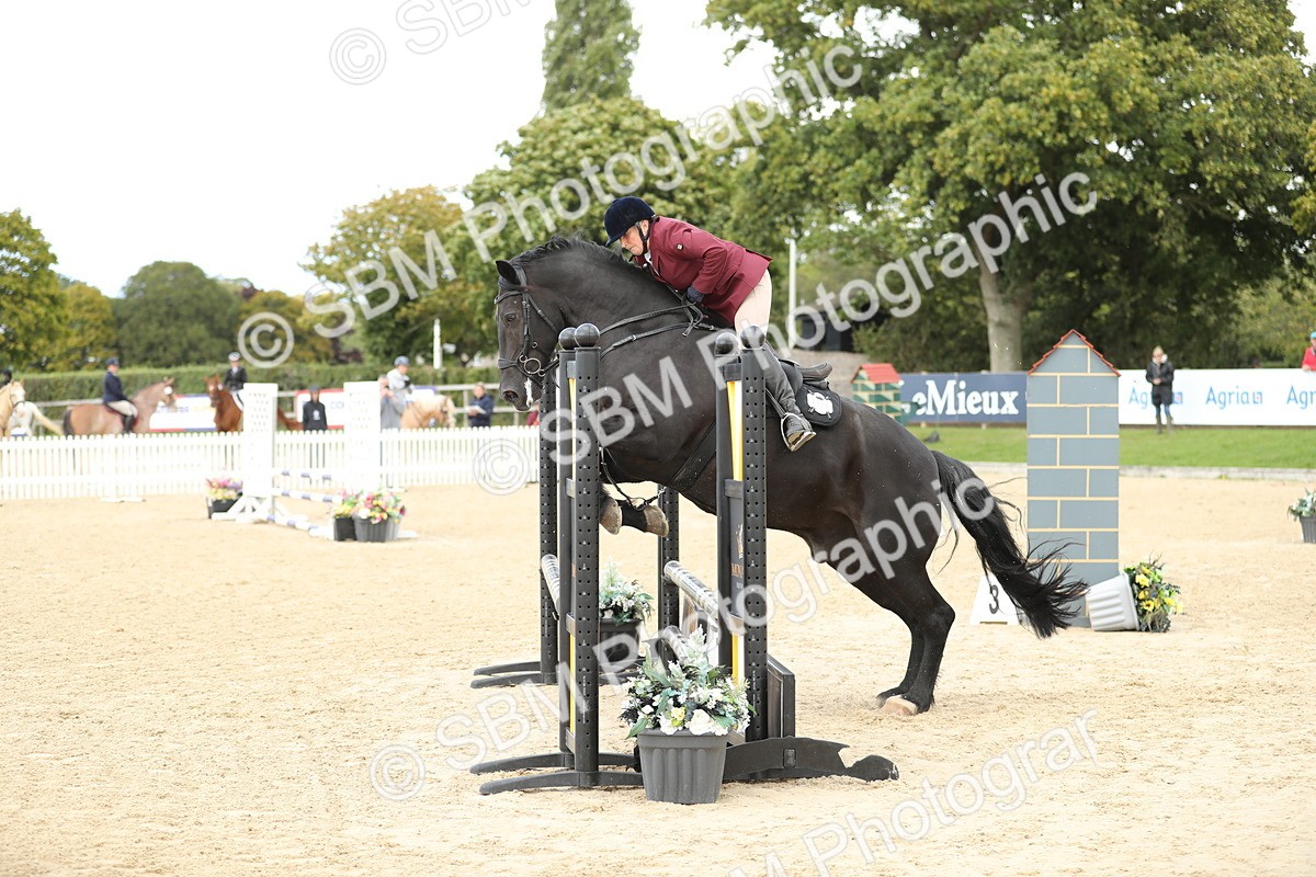 SBM_09866 - J36 - Veteran Rider 70cm