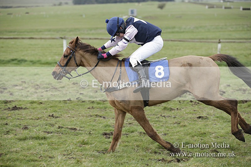PtP 150320 0793 - New Forest Point-to-Point Larkhill 15/03/20