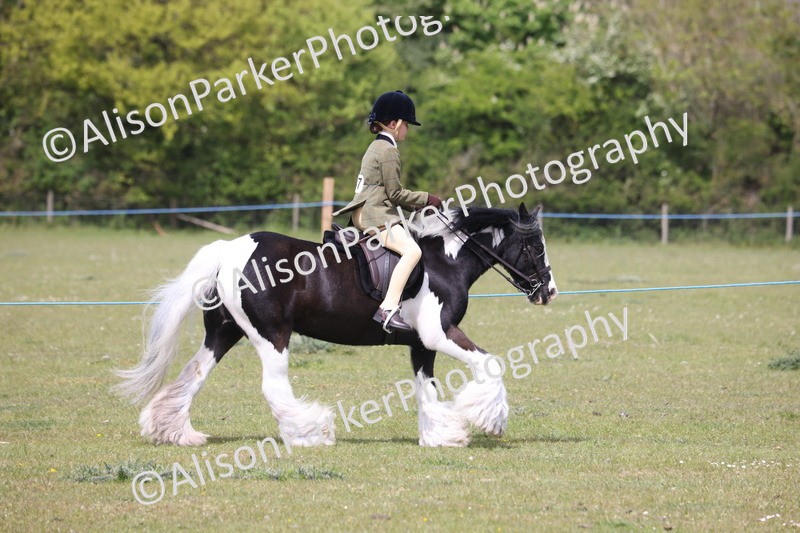 20260426-4033 - Class 33 - Best Pony 14.2hh and Under