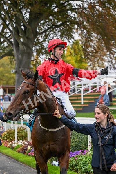 101025-Race 6-Dan Tucker-0526 - Race 6 Copper Knight Winning-Most Horse Handicap at York
