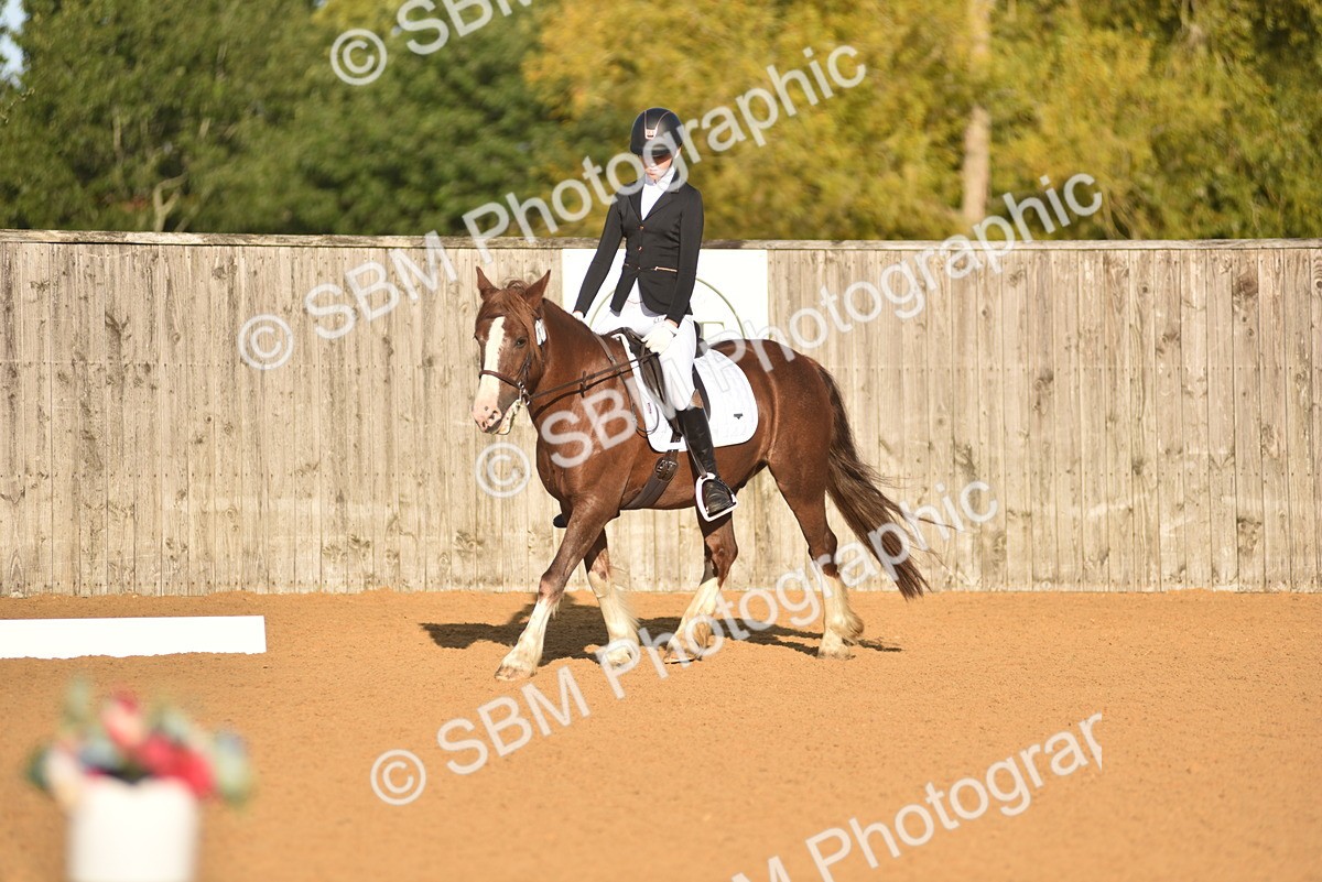 SBM_15692 - D4 - Small Tour Championship Intro 4