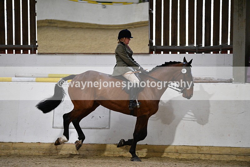 WJ5_9021 - Class 15 Ridden Show Horse