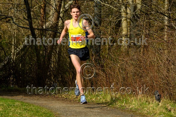 Livi26-929003 - Male Set Two