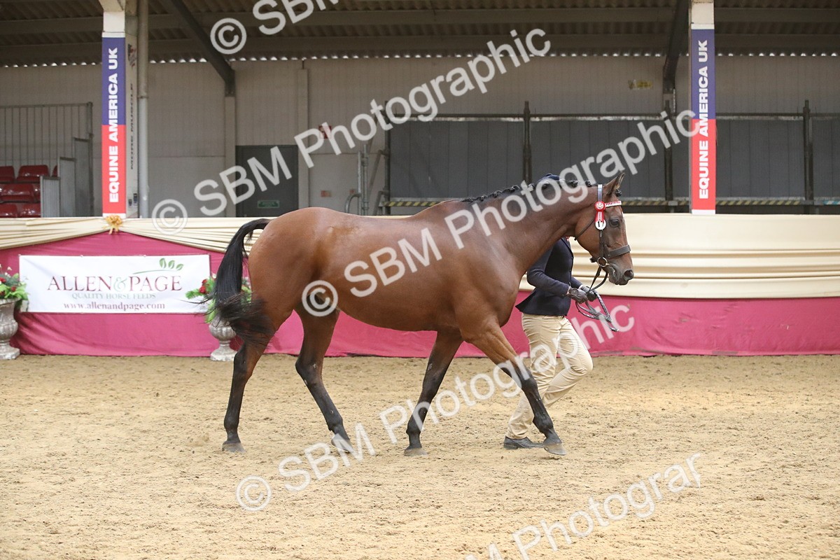 SBM_05541 - Class 9R - Regional IH Pre-Vet