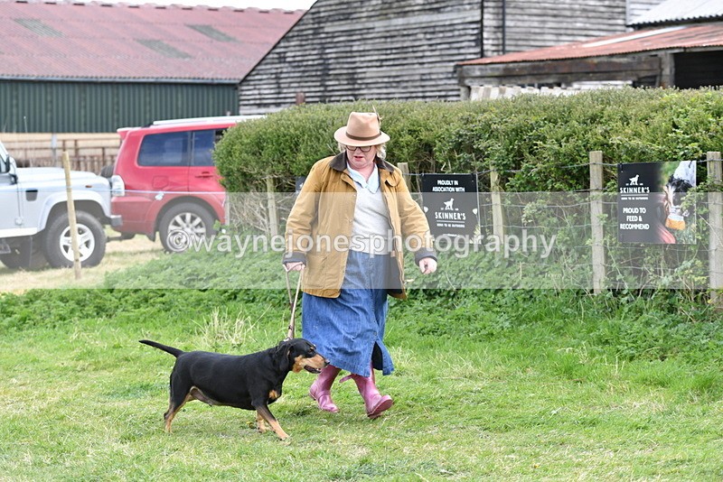 WJ5_0042 - Class 5 Best Veteran / 7 years & over