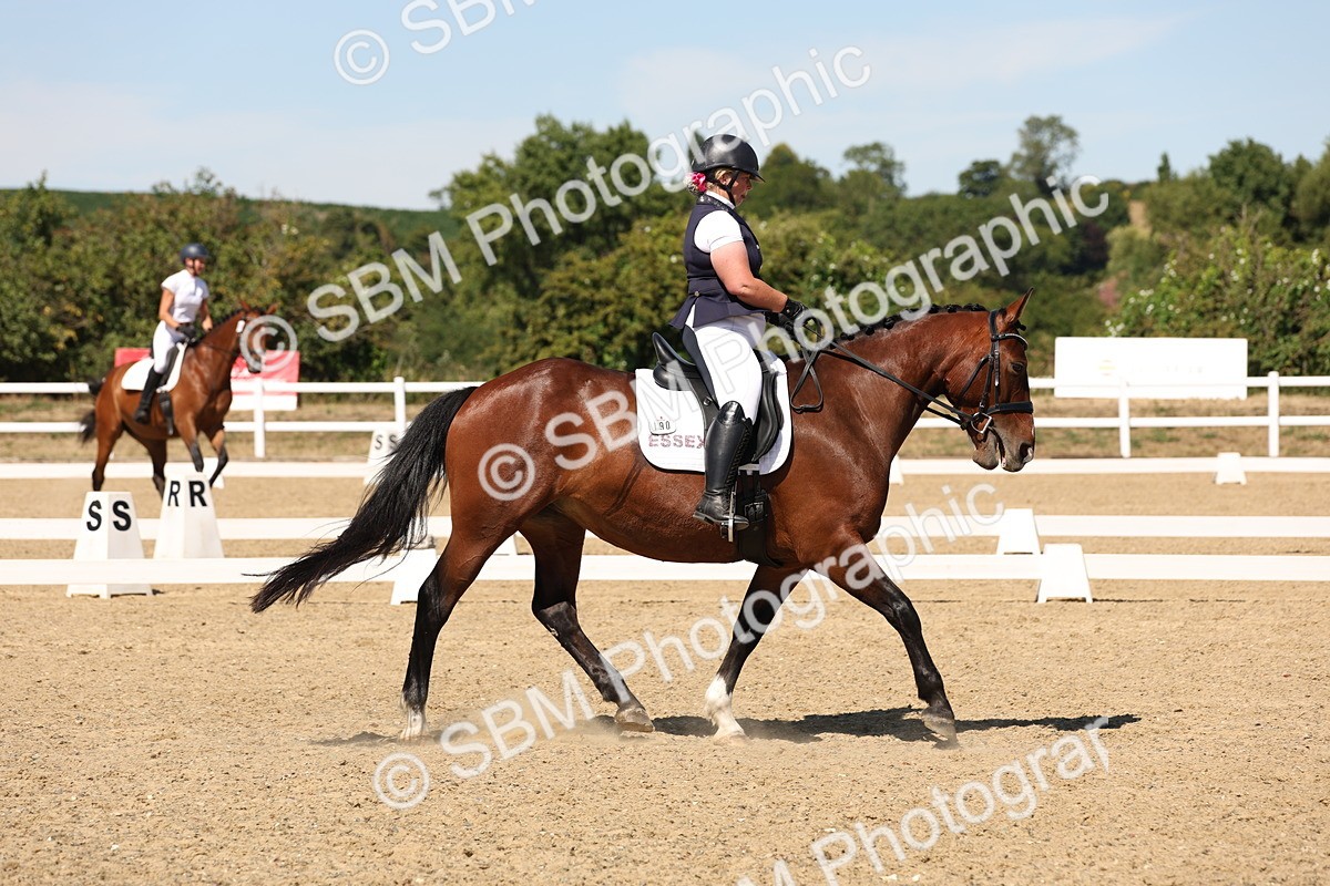 SBM_003000 - Elementary 4