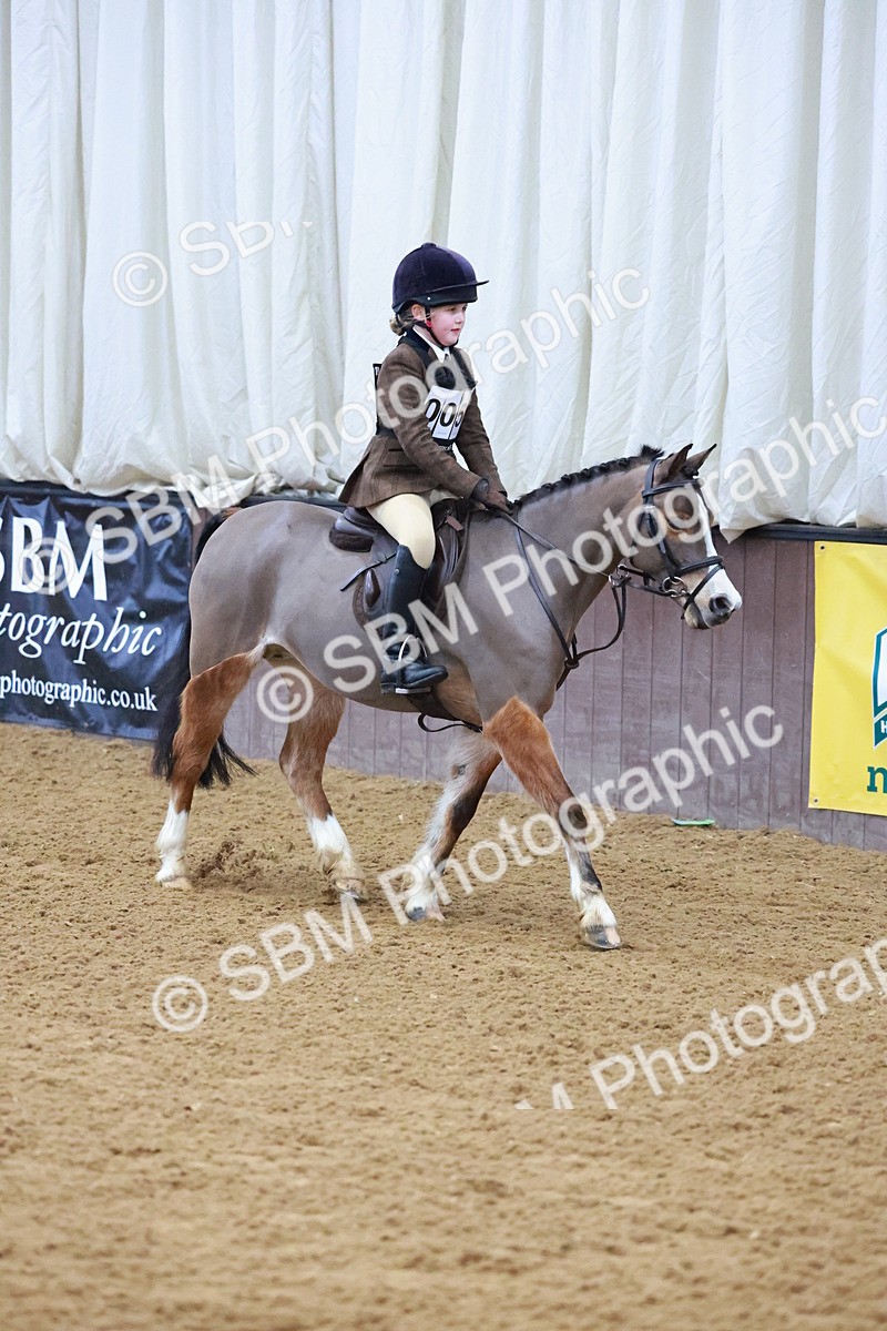 SBM_000326 - Class 19 - 50cm