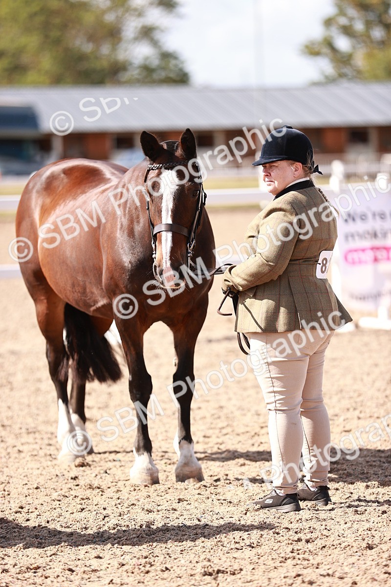 SBM_22979 - Class 707 - IH groom Helpers Class