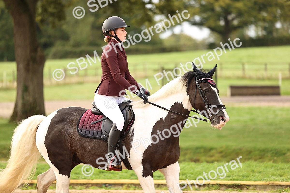 SBM_58225 - J41 - Grand Tour Horse & Pony 95cm