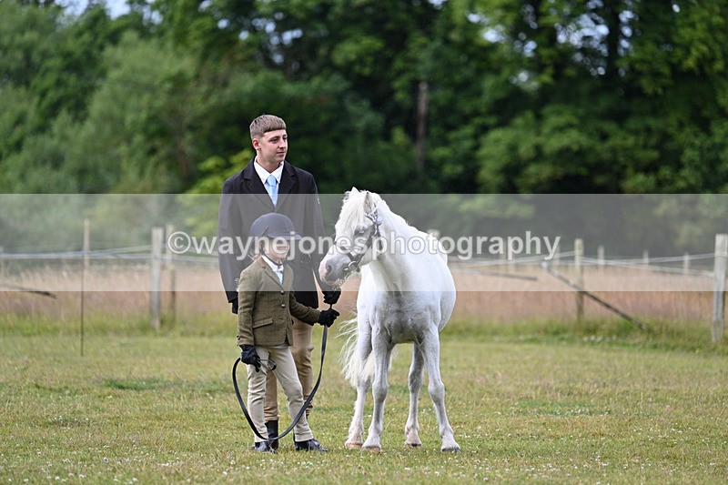 WJ7_4646 - Class 1 Lead Rein Pony