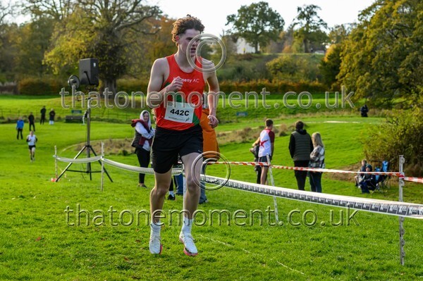 NatRel25-914796 - Young Male Set Two