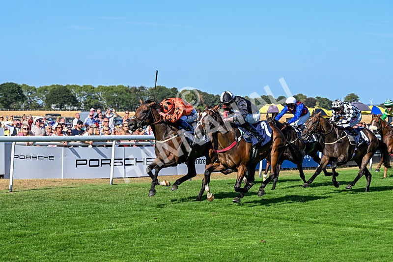 120826-Race 6-Rumble Ruby-7493 - Race 6 16.45pm Nation Radio Yorkshire Handicap