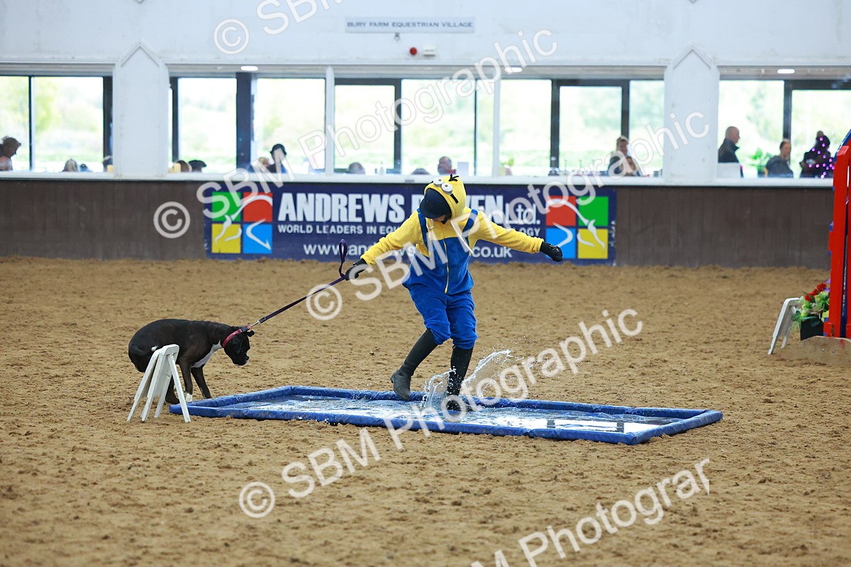 SBM_002256 - Class 3 - Horse & Hound (60cm)