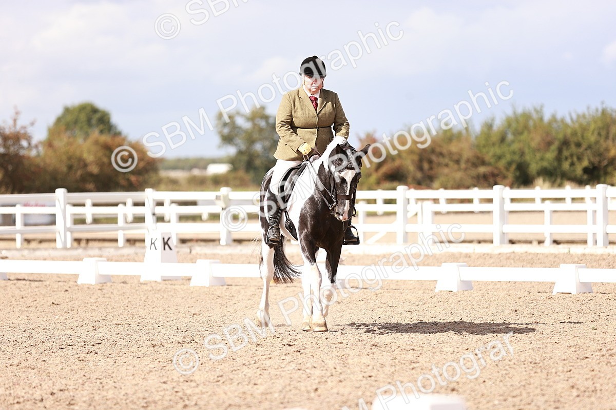 SBM_06595 - Class 39 - Medium 3