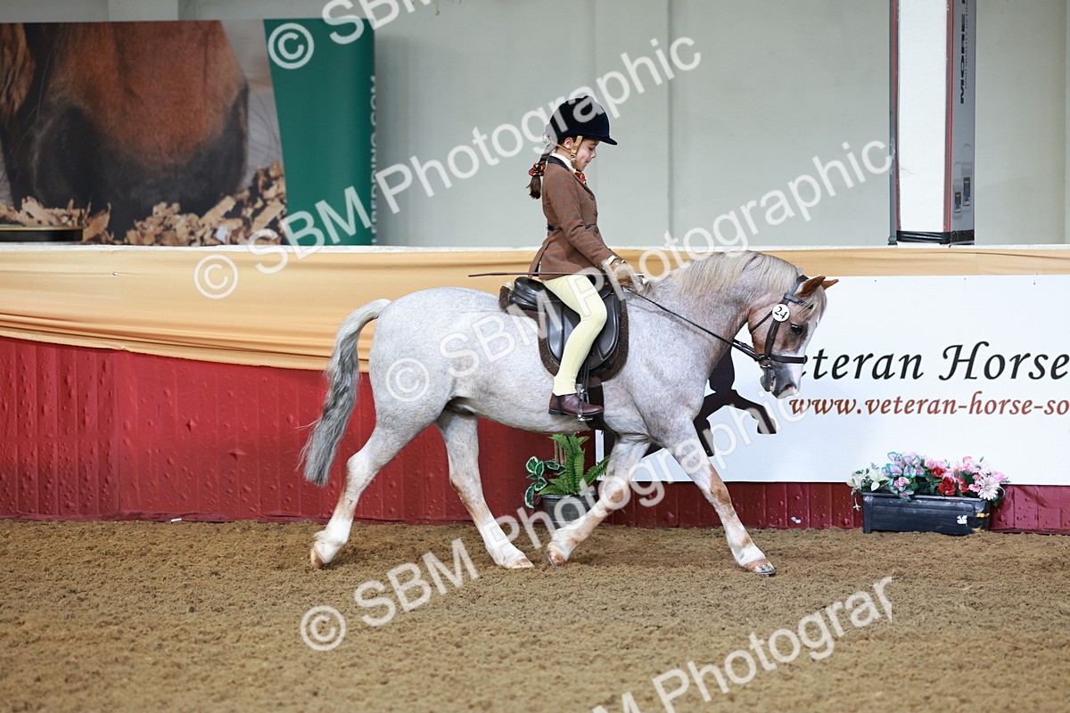 SBM_10648 - Class 101 - Equitation (Best Rider)