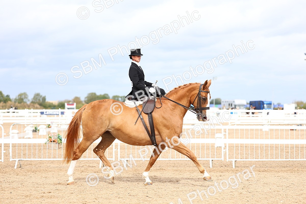 SBM_03397 - Class 24 - SSA Concours d'elegance (any age)