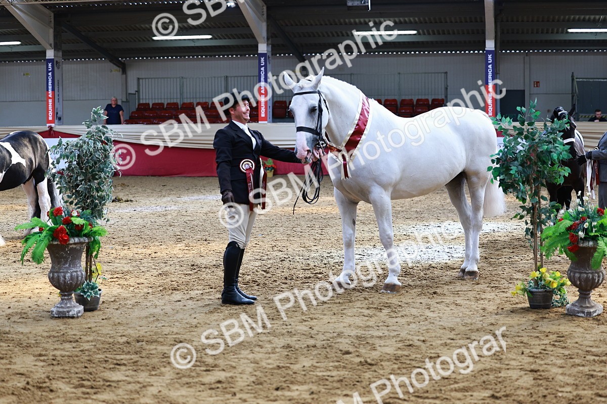 SBM_23299 - Class 903 - Supreme Final - IH Pre Vet