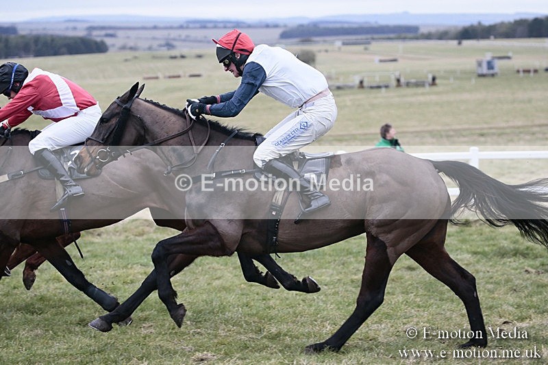 PtP 180218 421 - Combined Services Point-to-Point Larkhill 18/02/18