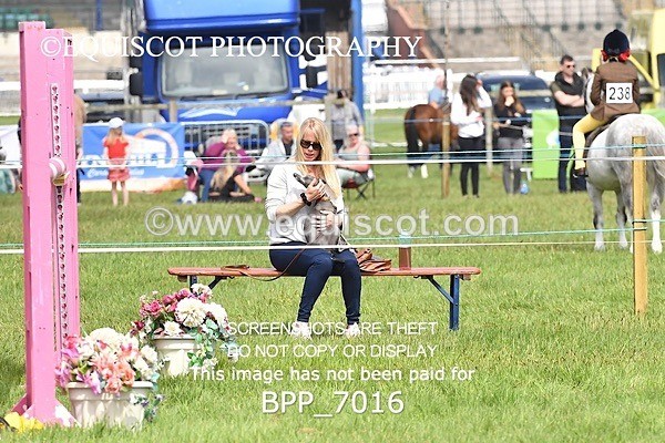 BPP_7016 - CLASS 3 RHS Fox Champ Qual (1.20m)