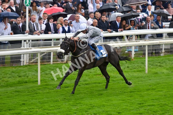 yr21082021r5-3 - Race 5 4.10pm Julia Graves Roses Stakes