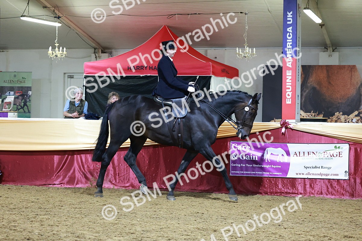 SBM_20952 - Class N - Side Saddle Champ