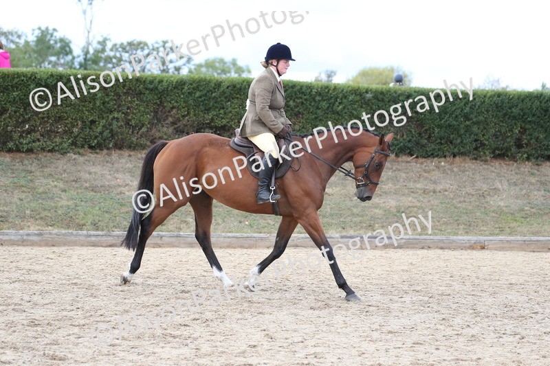 20260831-2603 - Class 15 - Ridden Retraining of Racehorses